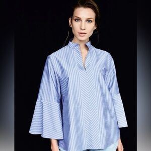 Harshman Chic Grey  Striped Women's Blouse